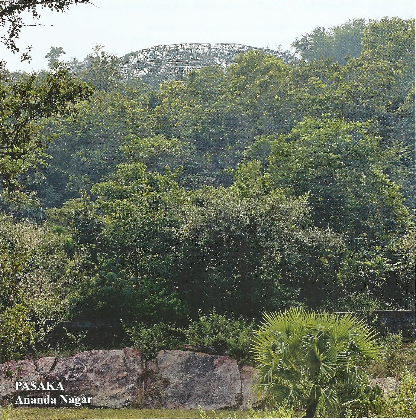 Lush trees and rock formations at PASAKA, Ananda Nagar, with the aviary framework visible above the canopy
