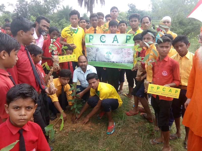 Children and adults planting a young tree beside a PCAP banner in Bokaro, India